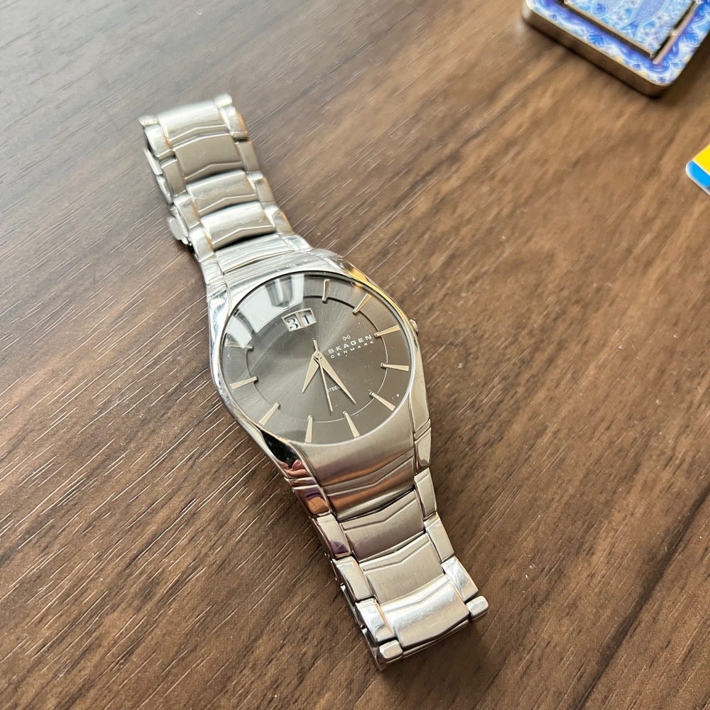 Skagen Men’s Steel Watch Date